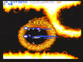 �ܥ����Τ�������Ƚ�ꤵ���ä��뤳�Ȥ�