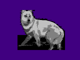 �����ʤ���1