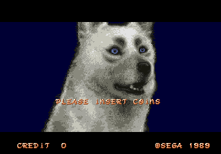 �����ʤ���