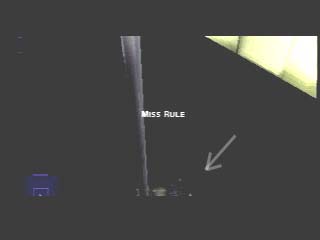 ž���������