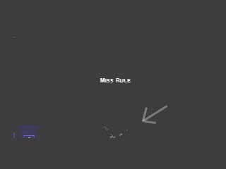 ž���������