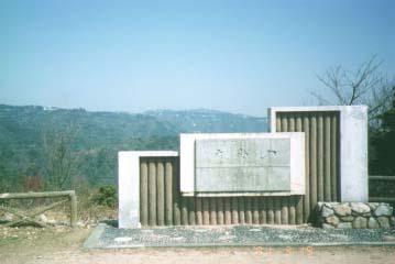 ϻ�û���Хå���