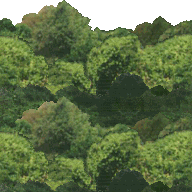 ư���ʤ�����˰��������(��)