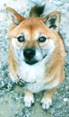 ��̵̣�������ޤ�ͤ�