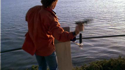 �����Υ�����ɤ��ʤ˳ʹ��ɤ�