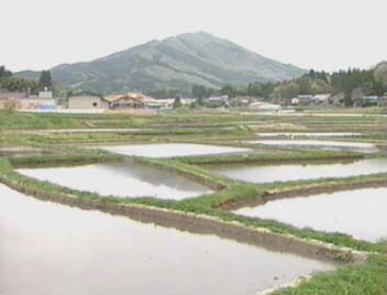 ��¼������