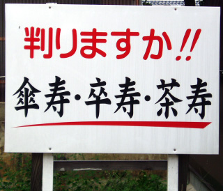 ������´�������