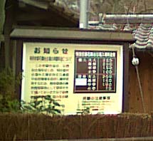 ����ʧ����