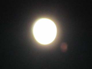 Red Eye�Ϥä�����