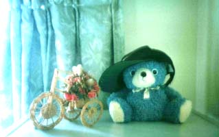 BEFiS�Υ���ܥ�?���ޡ�