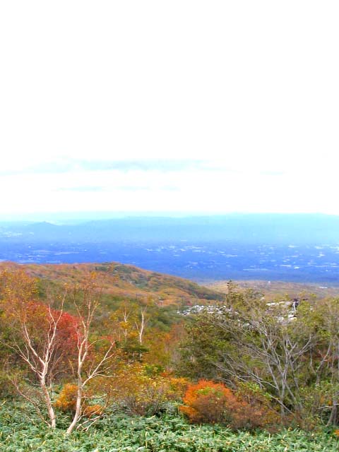 �Ҥ�����˴���